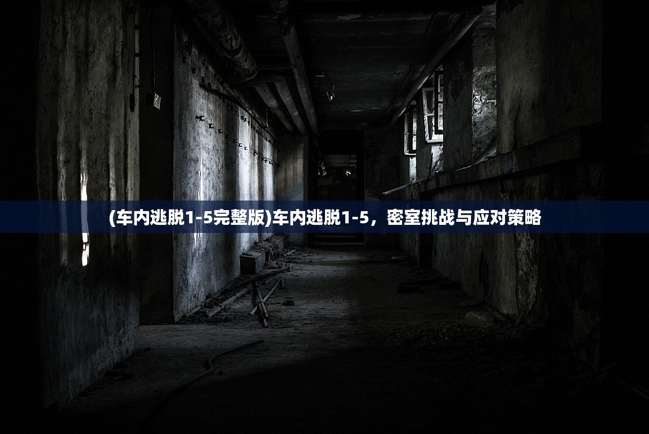 (车内逃脱1-5完整版)车内逃脱1-5，密室挑战与应对策略