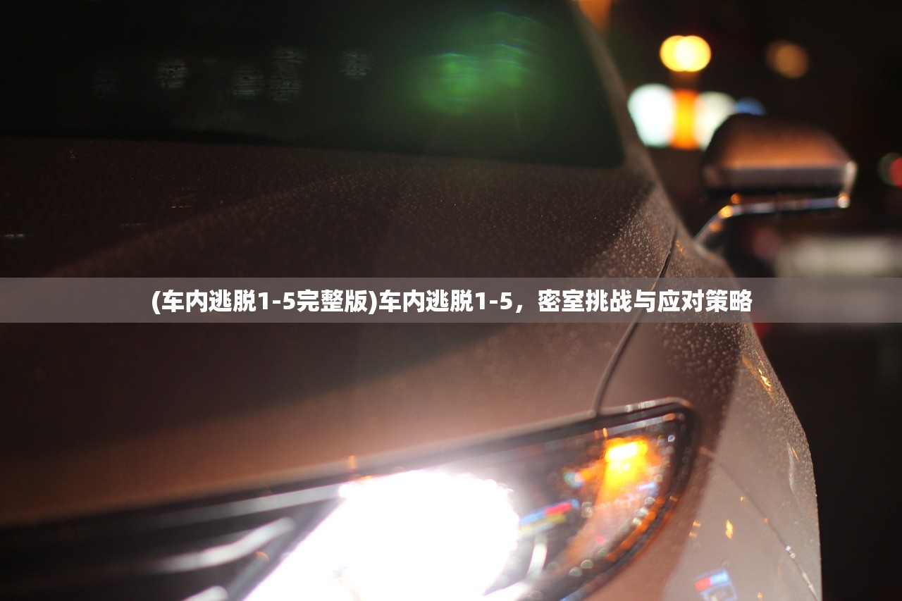(车内逃脱1-5完整版)车内逃脱1-5，密室挑战与应对策略