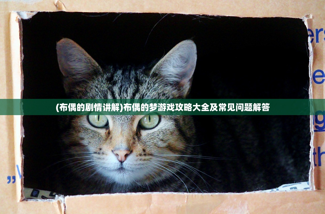 (布偶的剧情讲解)布偶的梦游戏攻略大全及常见问题解答