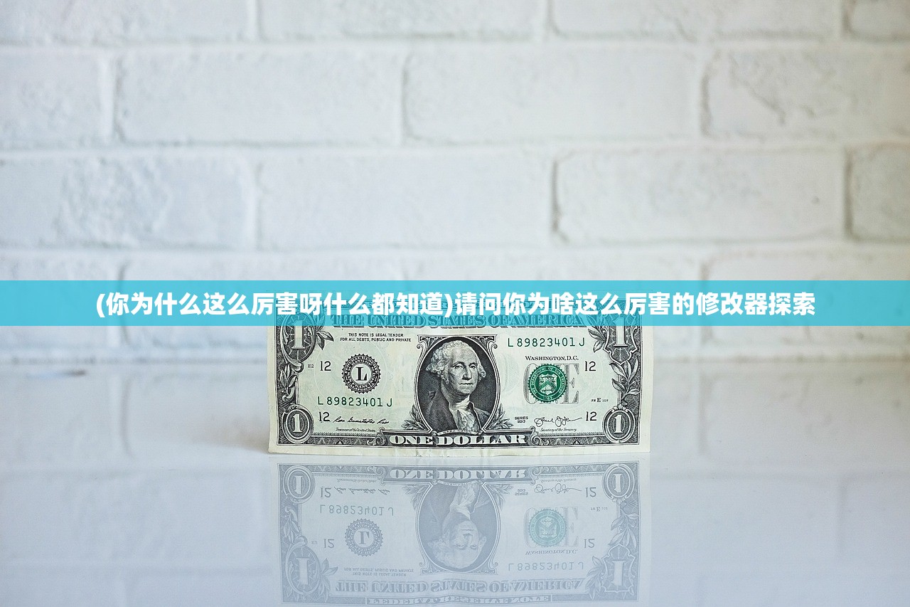 (你为什么这么厉害呀什么都知道)请问你为啥这么厉害的修改器探索