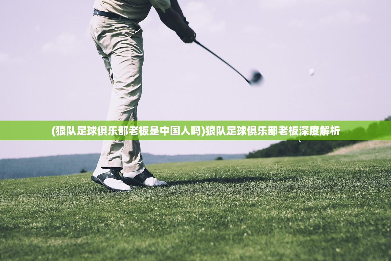 (狼队足球俱乐部老板是中国人吗)狼队足球俱乐部老板深度解析