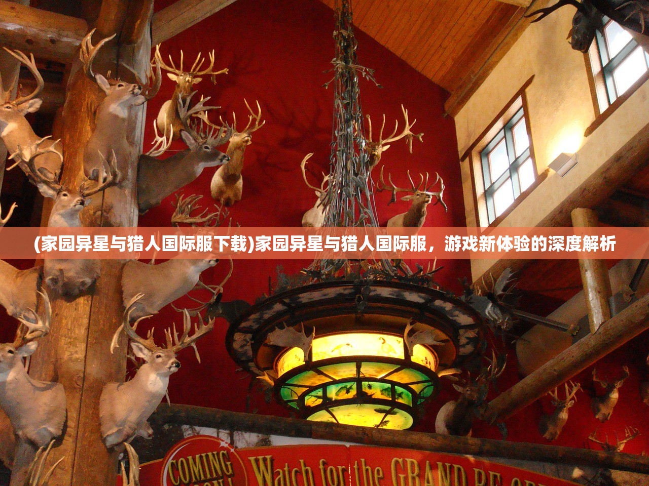 (龙腾雄霸)龙腾霸主，深入解析这一神秘词汇的背后含义