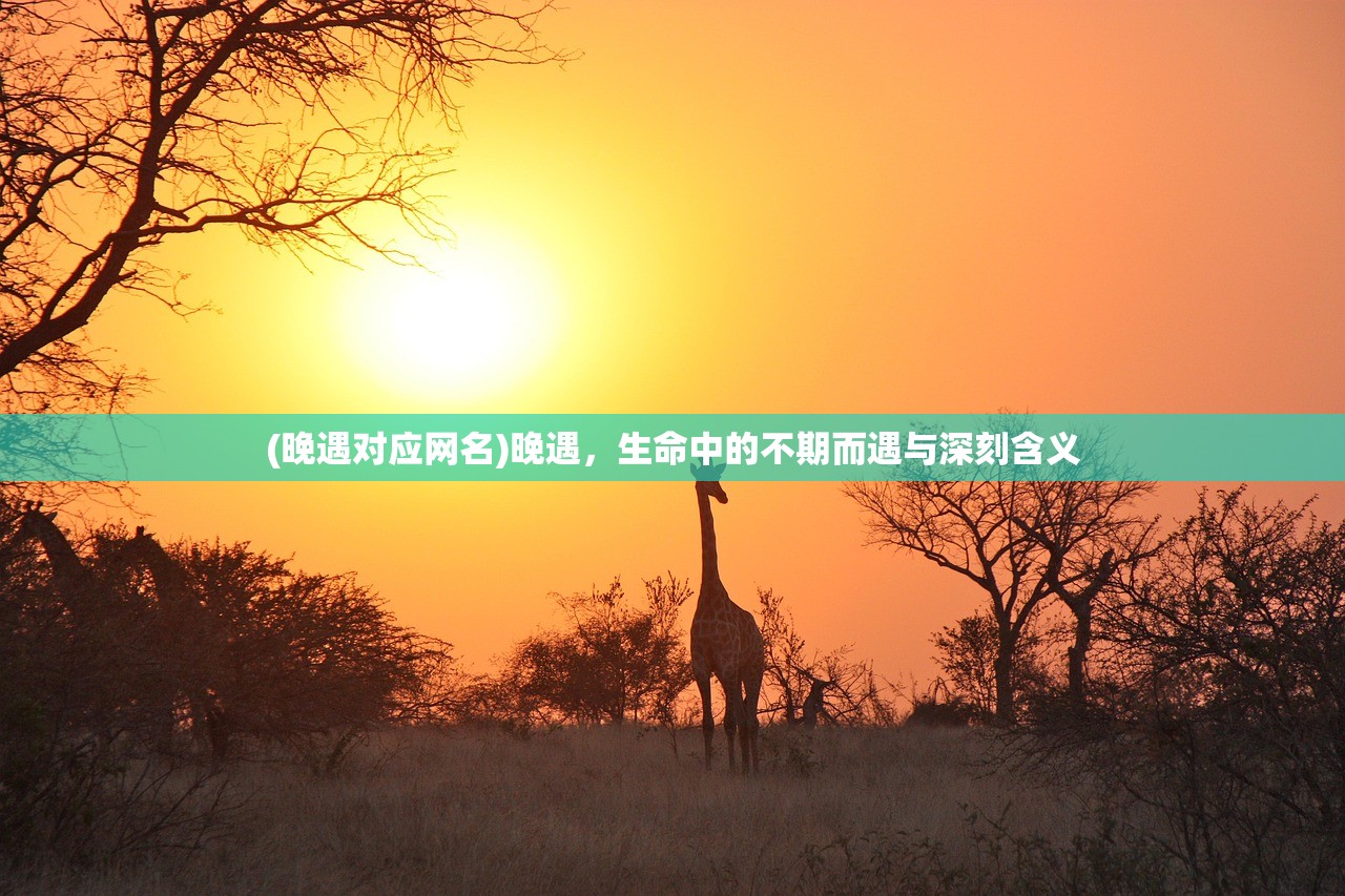 (晚遇对应网名)晚遇，生命中的不期而遇与深刻含义