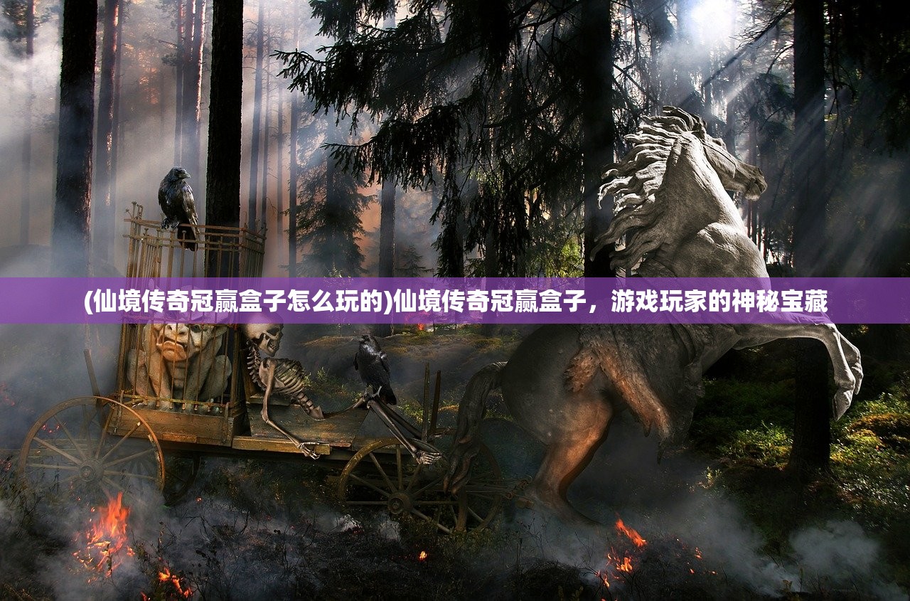 (仙境传奇冠赢盒子怎么玩的)仙境传奇冠赢盒子，游戏玩家的神秘宝藏