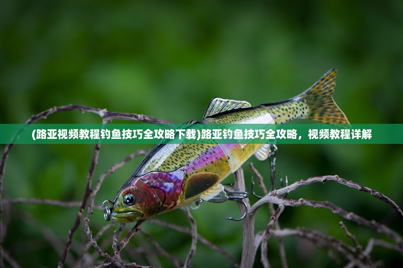 (路亚视频教程钓鱼技巧全攻略下载)路亚钓鱼技巧全攻略，视频教程详解