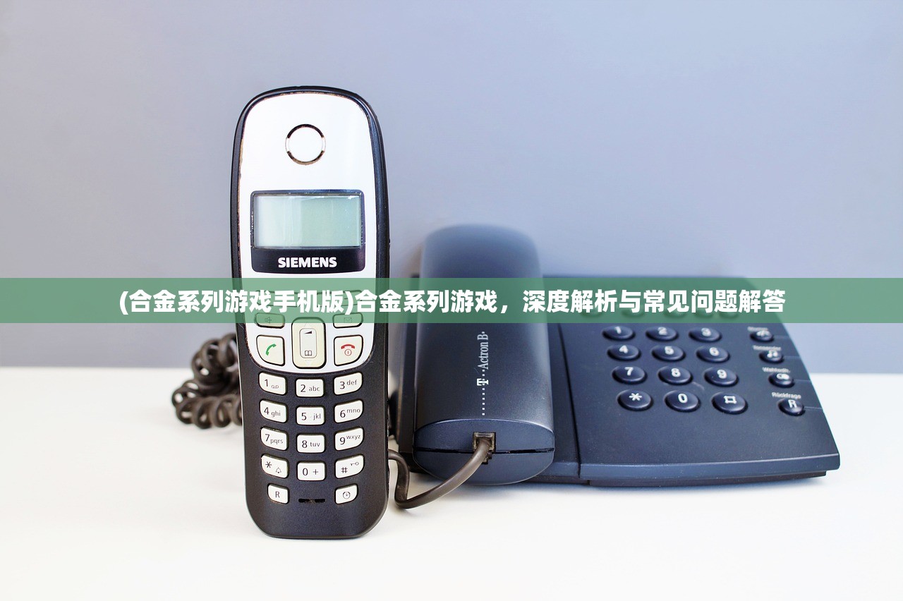 (合金系列游戏手机版)合金系列游戏，深度解析与常见问题解答