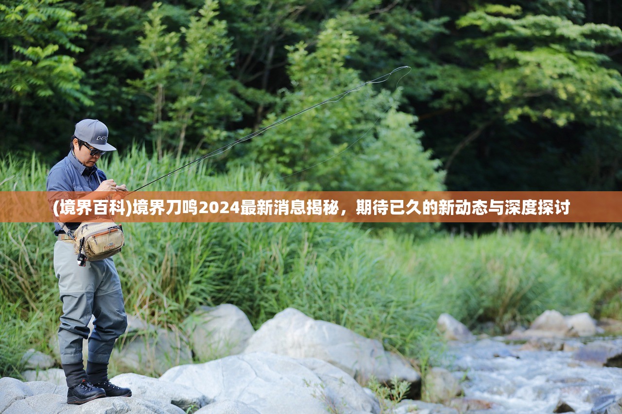 (境界百科)境界刀鸣2024最新消息揭秘，期待已久的新动态与深度探讨
