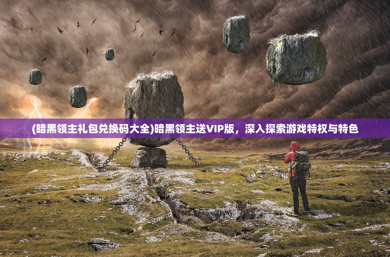 (暗黑领主礼包兑换码大全)暗黑领主送VIP版，深入探索游戏特权与特色