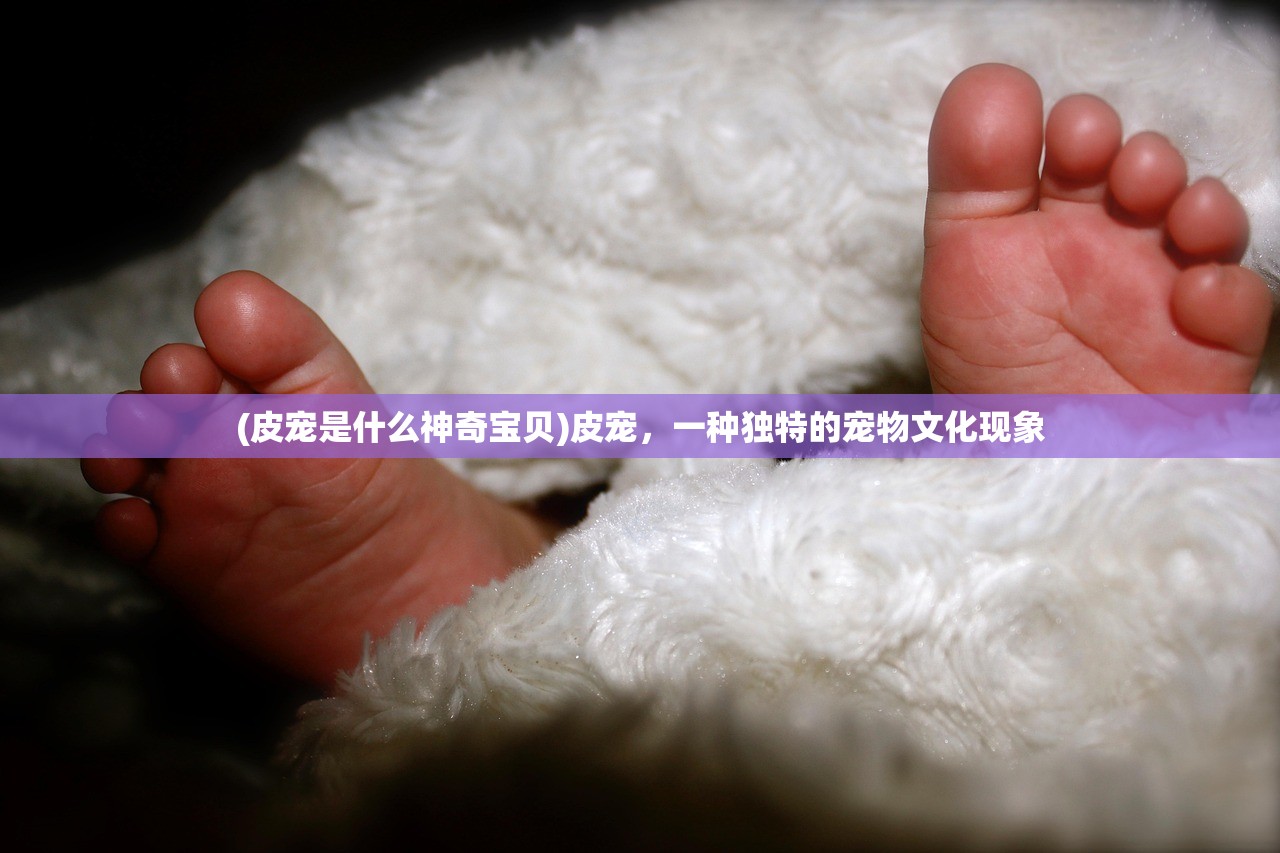 (皮宠是什么神奇宝贝)皮宠，一种独特的宠物文化现象