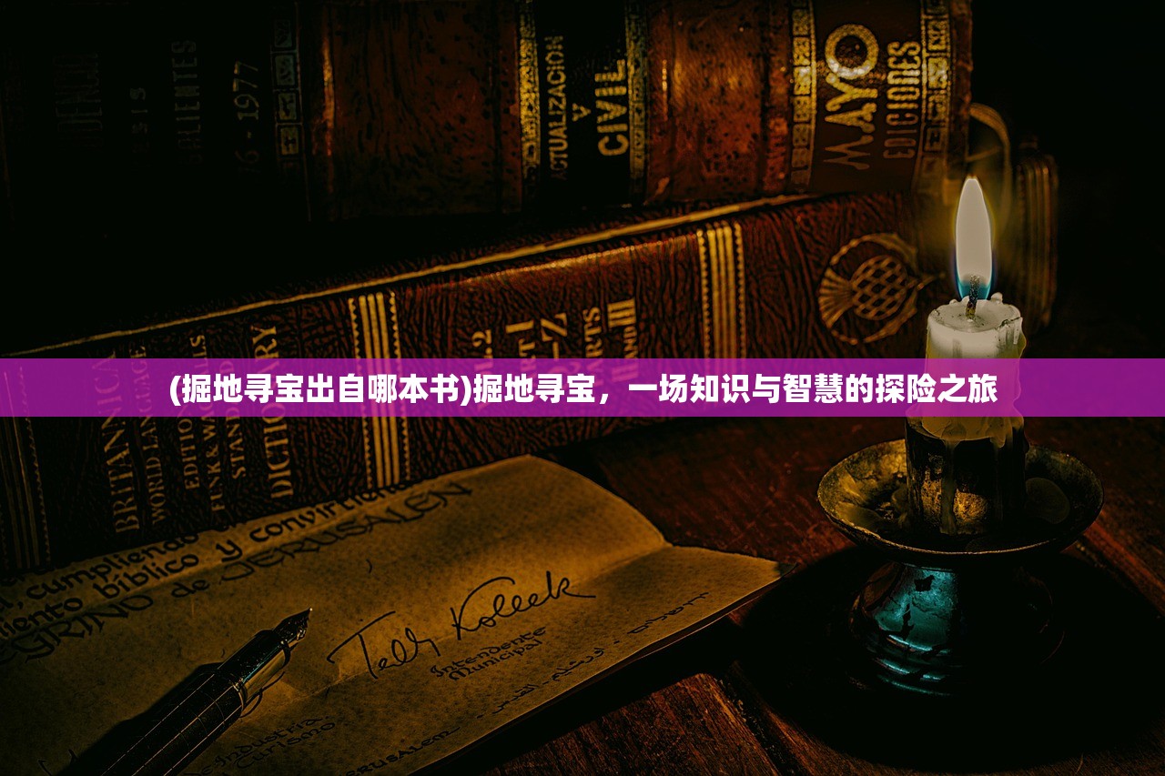 (掘地寻宝出自哪本书)掘地寻宝，一场知识与智慧的探险之旅