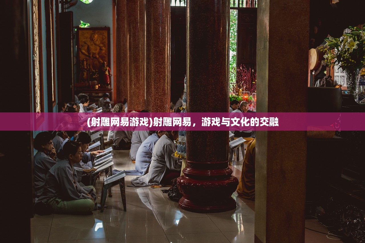 (射雕网易游戏)射雕网易，游戏与文化的交融