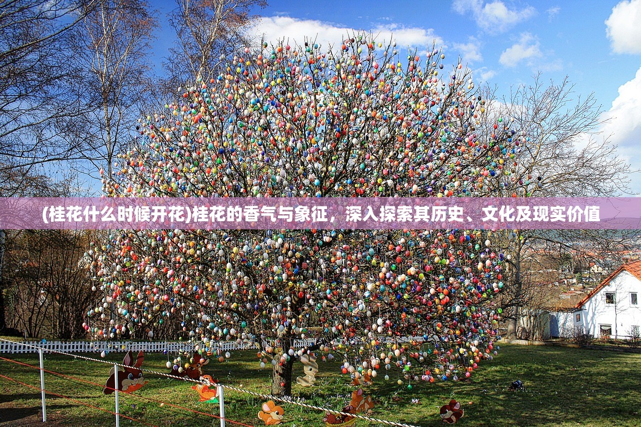 (桂花什么时候开花)桂花的香气与象征，深入探索其历史、文化及现实价值
