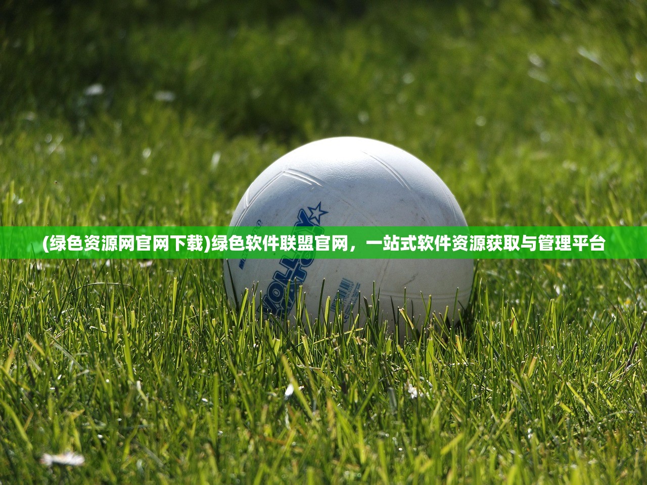 (绿色资源网官网下载)绿色软件联盟官网，一站式软件资源获取与管理平台