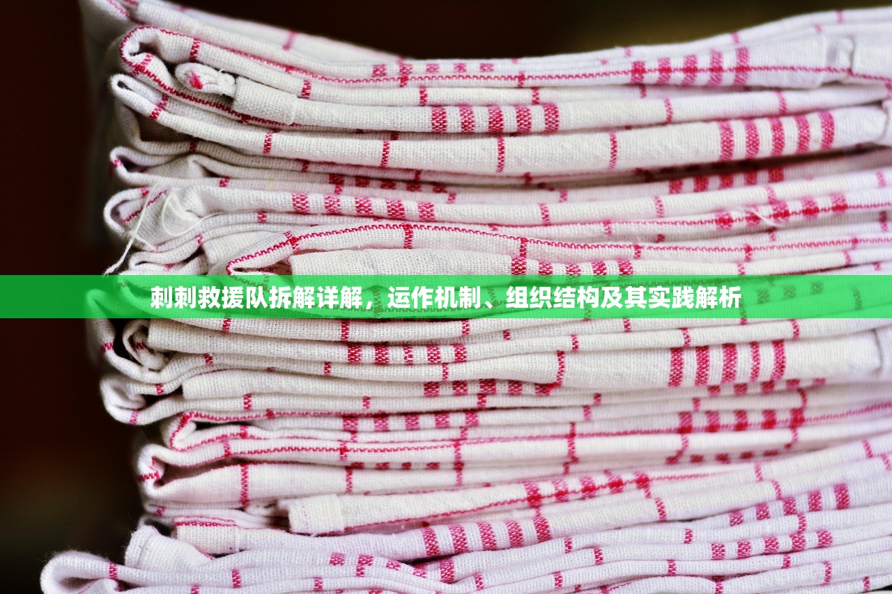 刺刺救援队拆解详解，运作机制、组织结构及其实践解析
