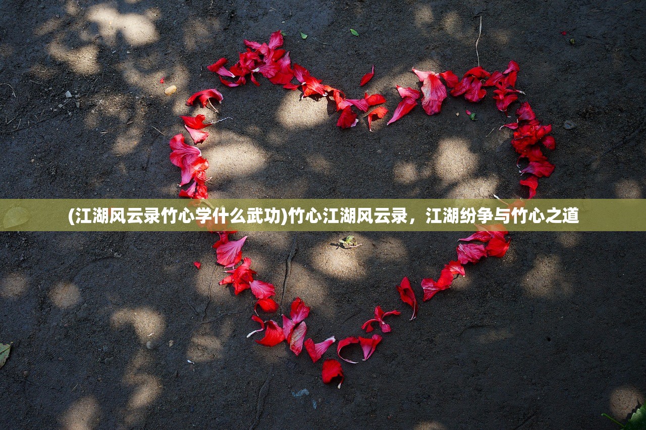 (江湖风云录竹心学什么武功)竹心江湖风云录，江湖纷争与竹心之道