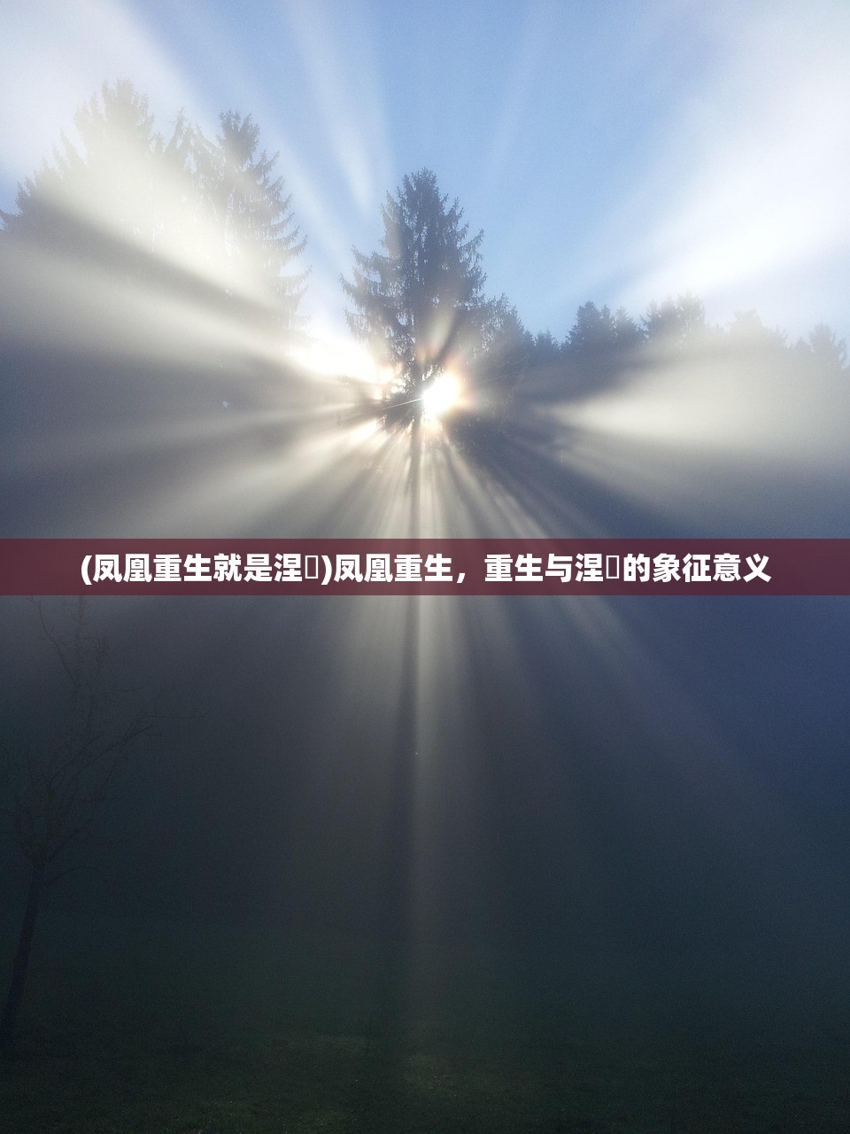 (凤凰重生就是涅槃)凤凰重生，重生与涅槃的象征意义