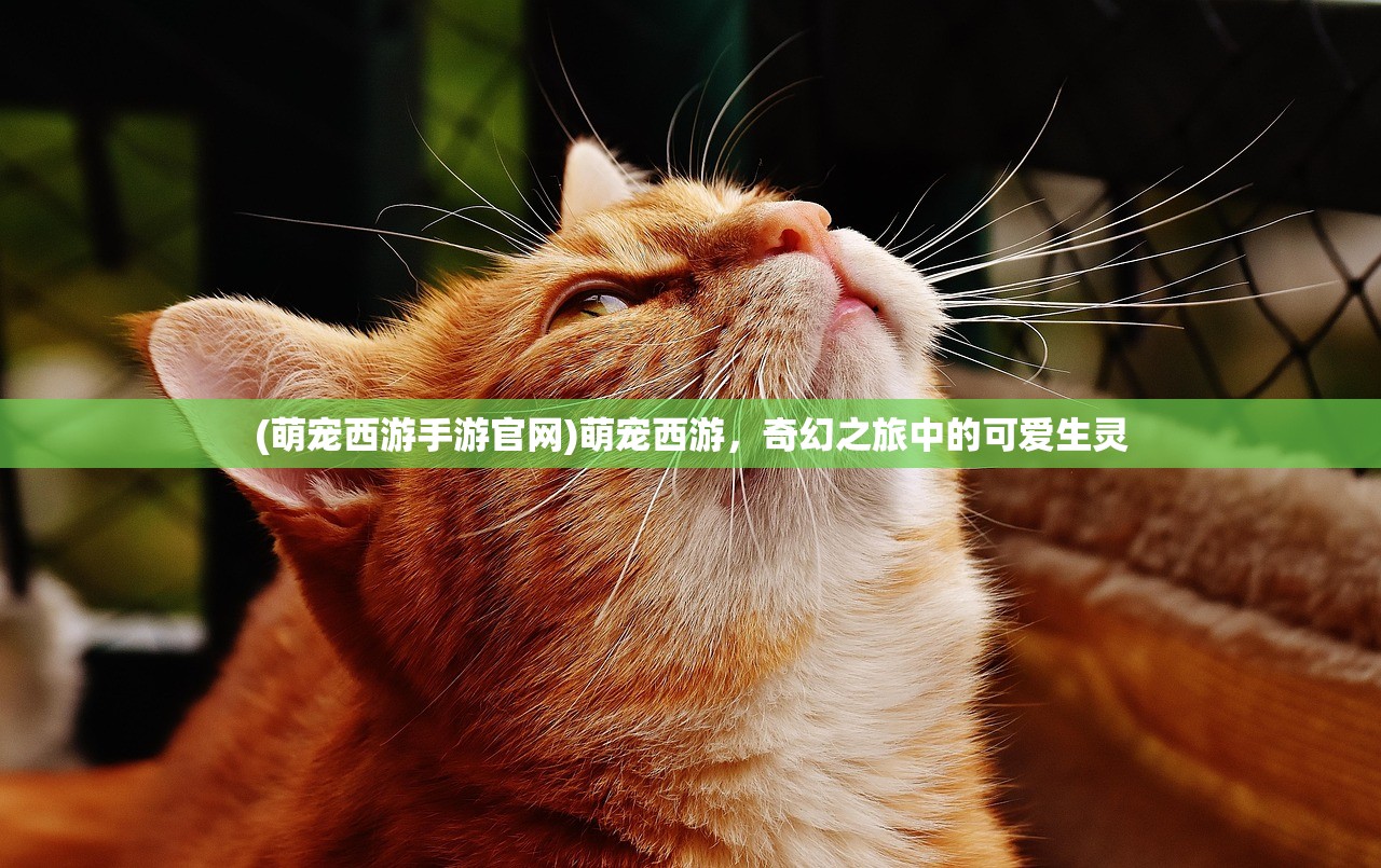 (萌宠西游手游官网)萌宠西游，奇幻之旅中的可爱生灵