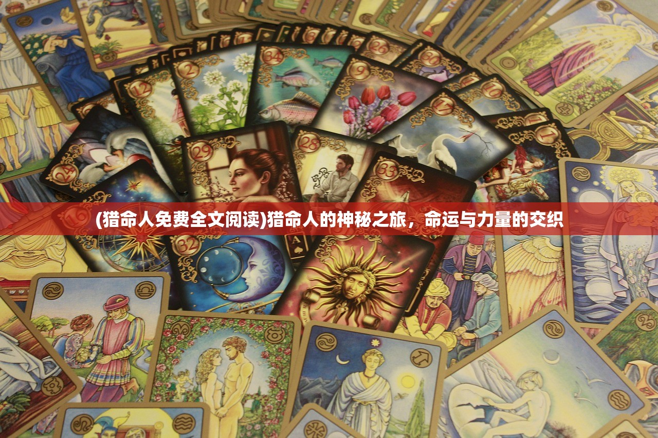 (猎命人免费全文阅读)猎命人的神秘之旅，命运与力量的交织