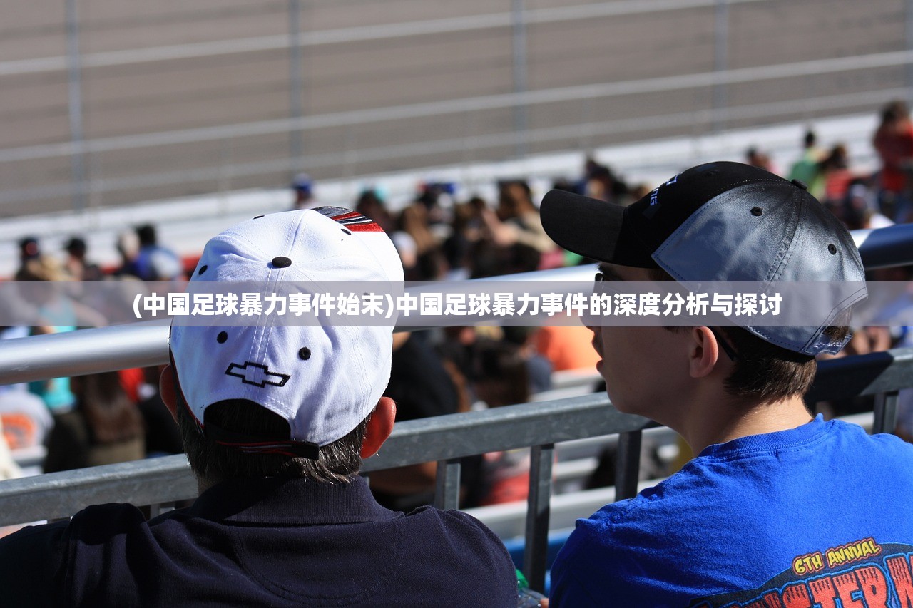 (中国足球暴力事件始末)中国足球暴力事件的深度分析与探讨