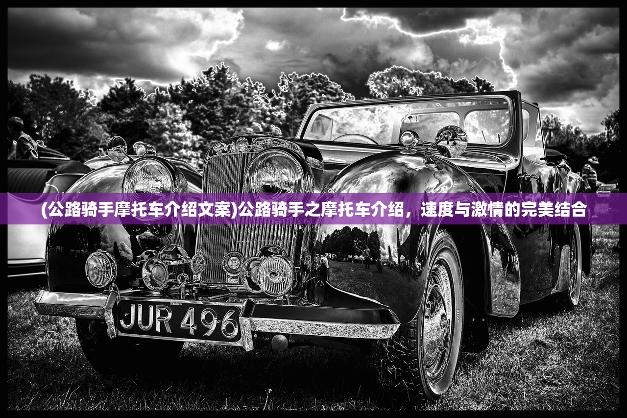 (公路骑手摩托车介绍文案)公路骑手之摩托车介绍，速度与激情的完美结合