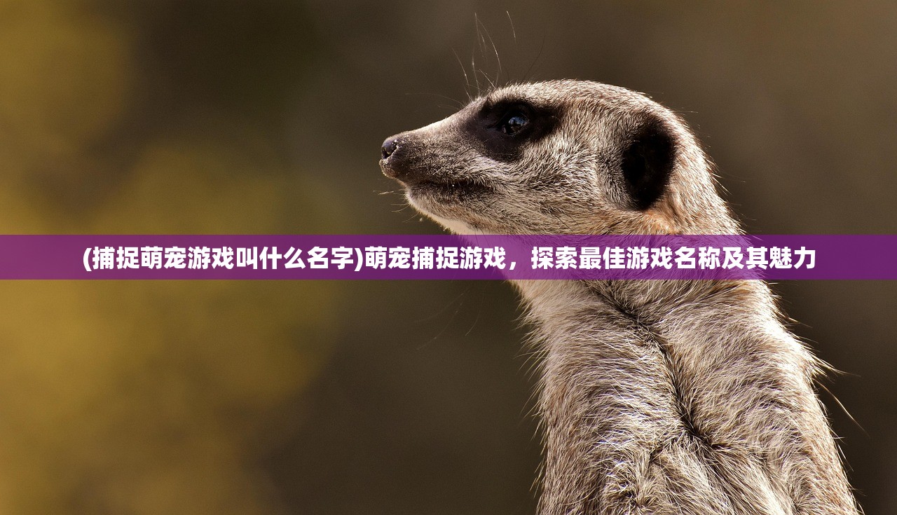 (捕捉萌宠游戏叫什么名字)萌宠捕捉游戏，探索最佳游戏名称及其魅力