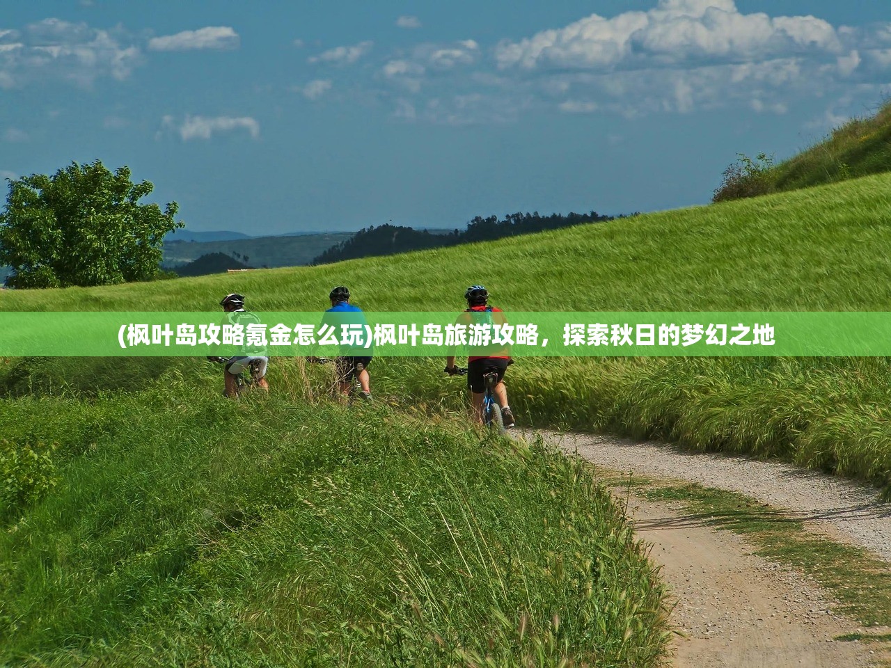 (枫叶岛攻略氪金怎么玩)枫叶岛旅游攻略，探索秋日的梦幻之地