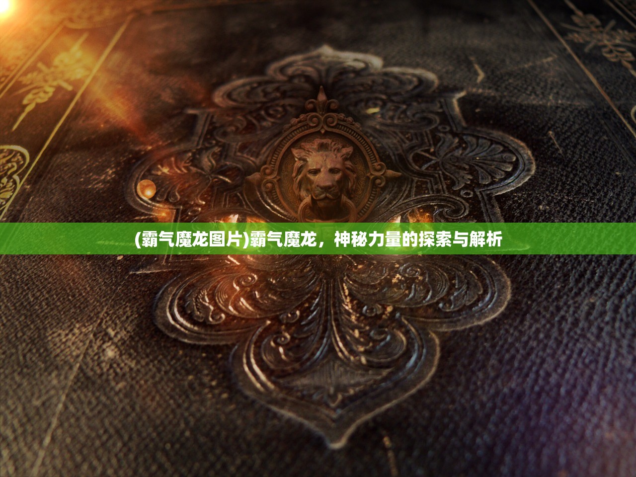 (12是什么意思含义)关于1/2的意思及其多元解读