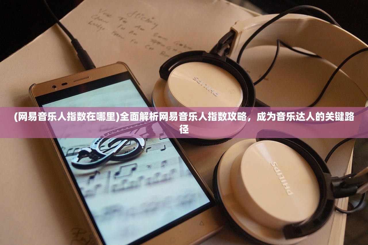 (网易音乐人指数在哪里)全面解析网易音乐人指数攻略，成为音乐达人的关键路径