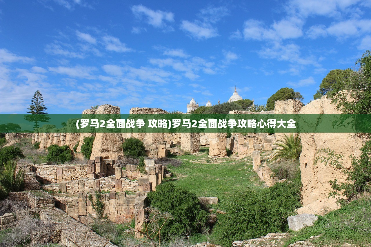 (罗马2全面战争 攻略)罗马2全面战争攻略心得大全