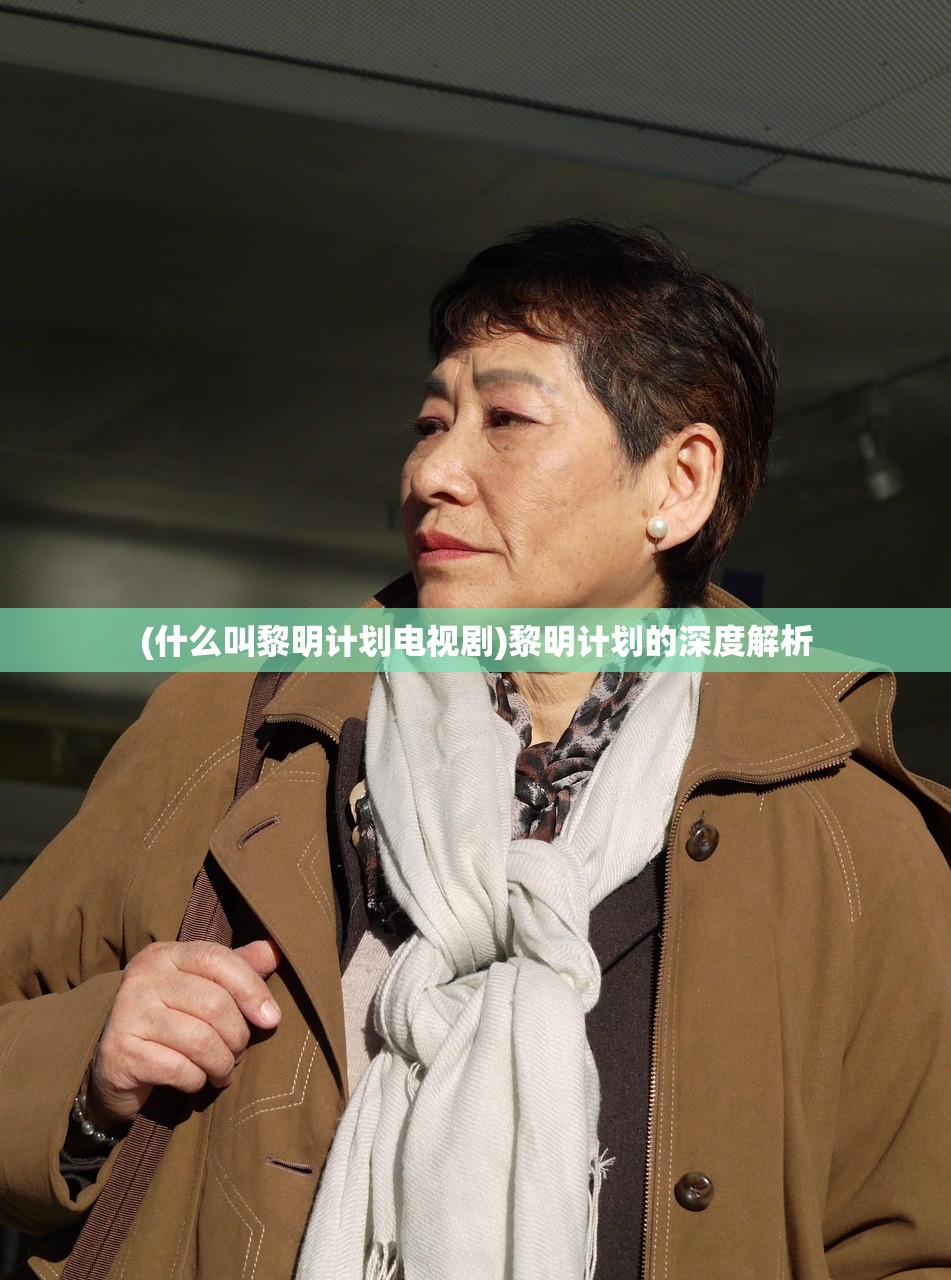 (什么叫黎明计划电视剧)黎明计划的深度解析
