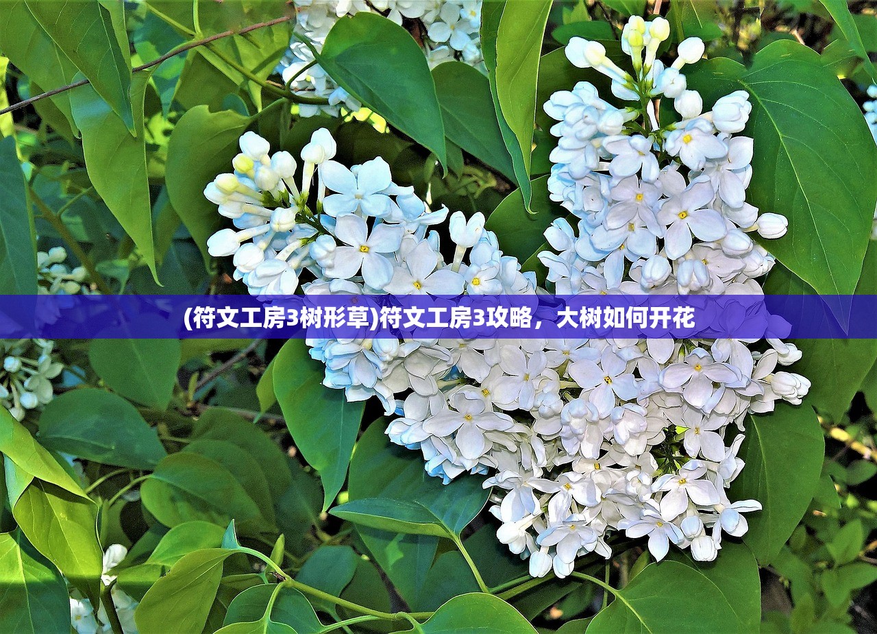 (代号韩漫下拉式)代号HANA，探究其深层含义与未来发展