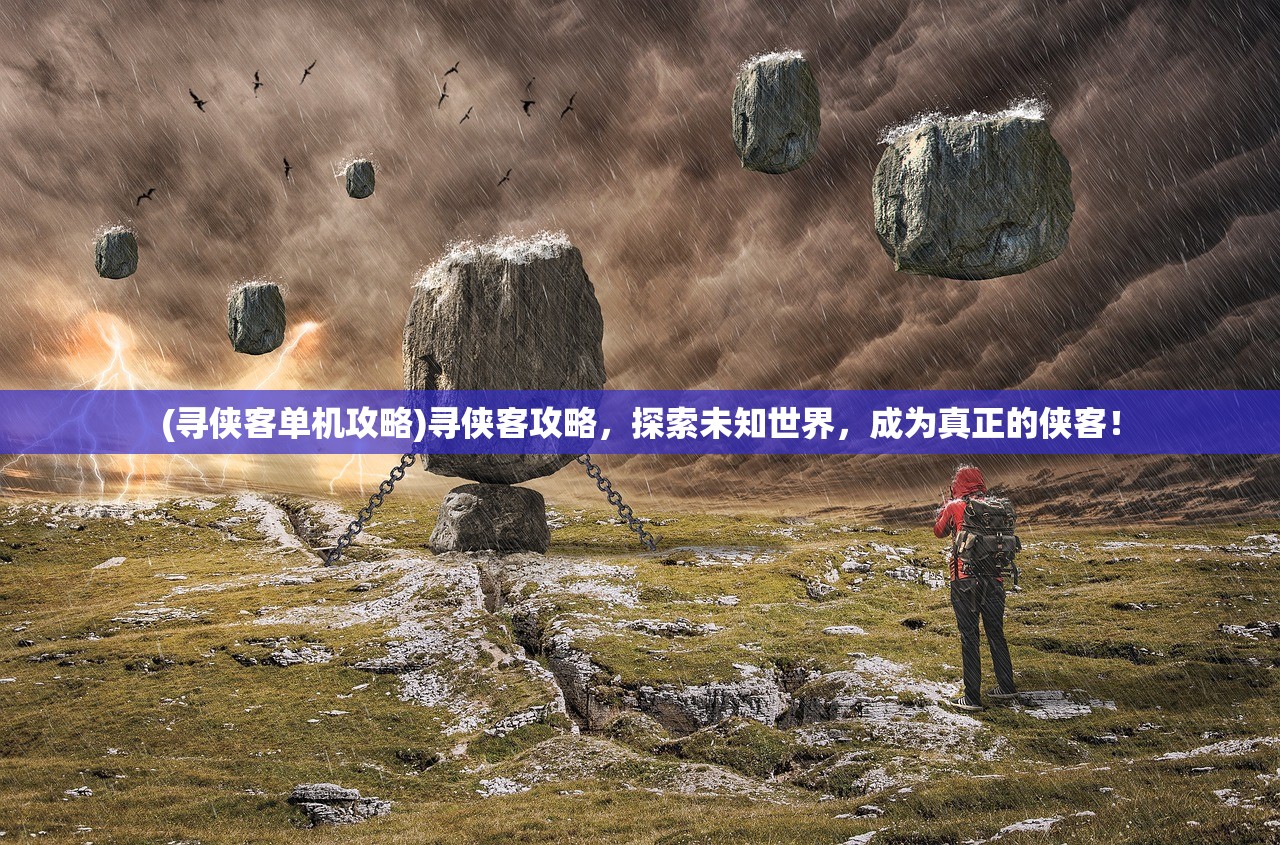 (寻侠客单机攻略)寻侠客攻略，探索未知世界，成为真正的侠客！