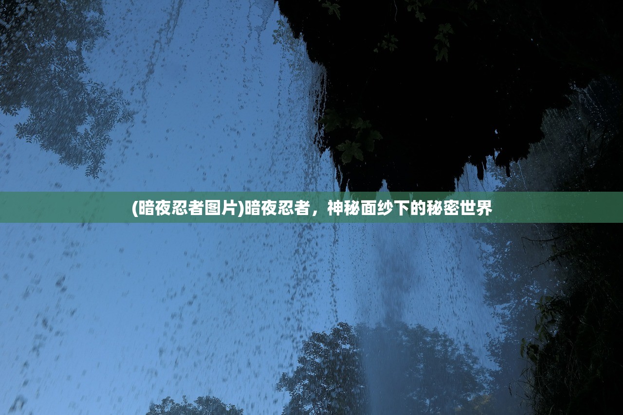 (暗夜忍者图片)暗夜忍者，神秘面纱下的秘密世界