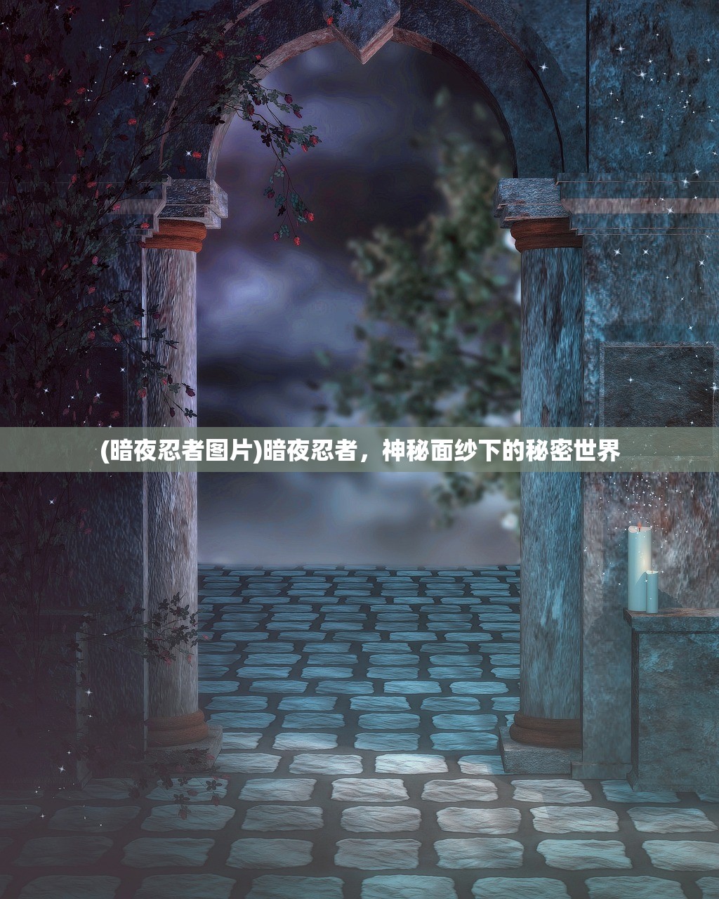 (暗夜忍者图片)暗夜忍者，神秘面纱下的秘密世界