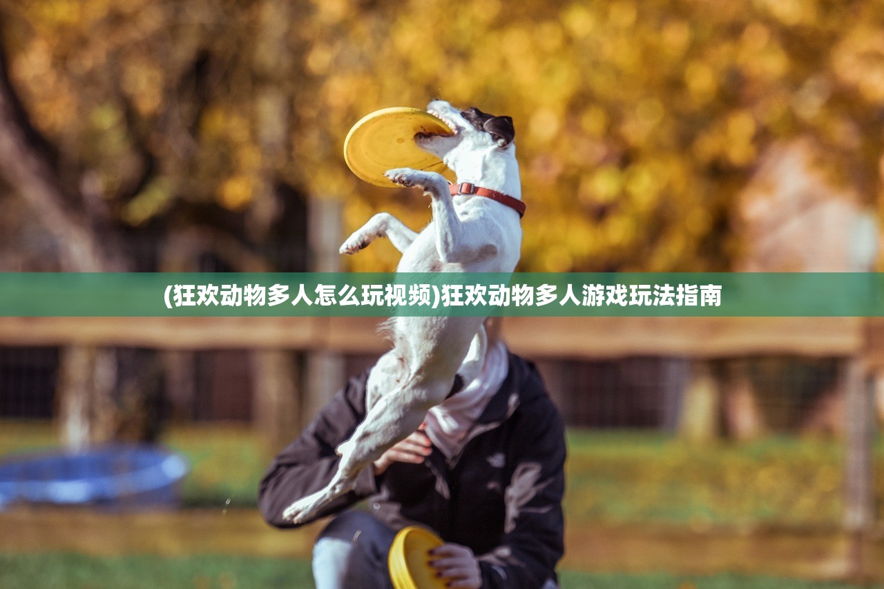 (狂欢动物多人怎么玩视频)狂欢动物多人游戏玩法指南