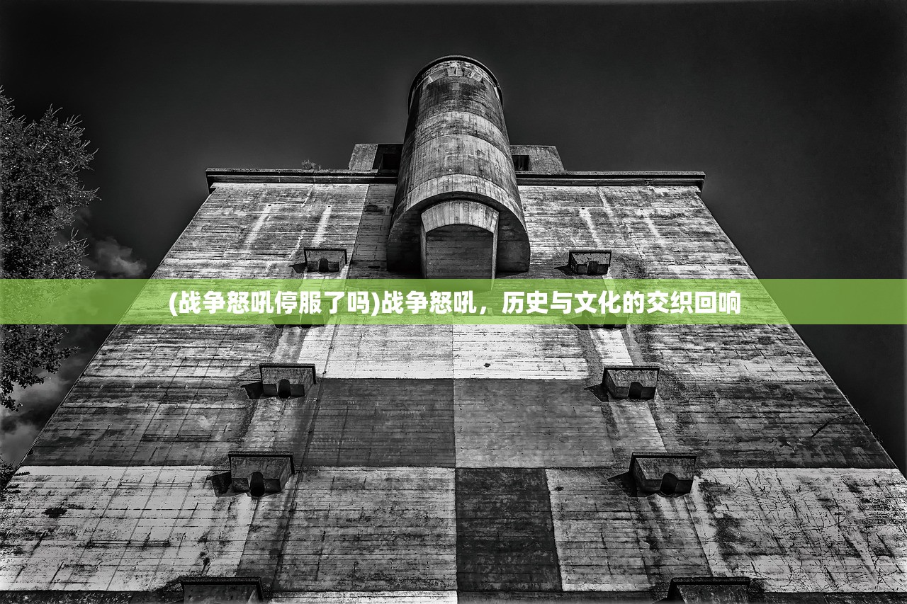 (暗夜流光心火)关于夜火流光下架的探讨