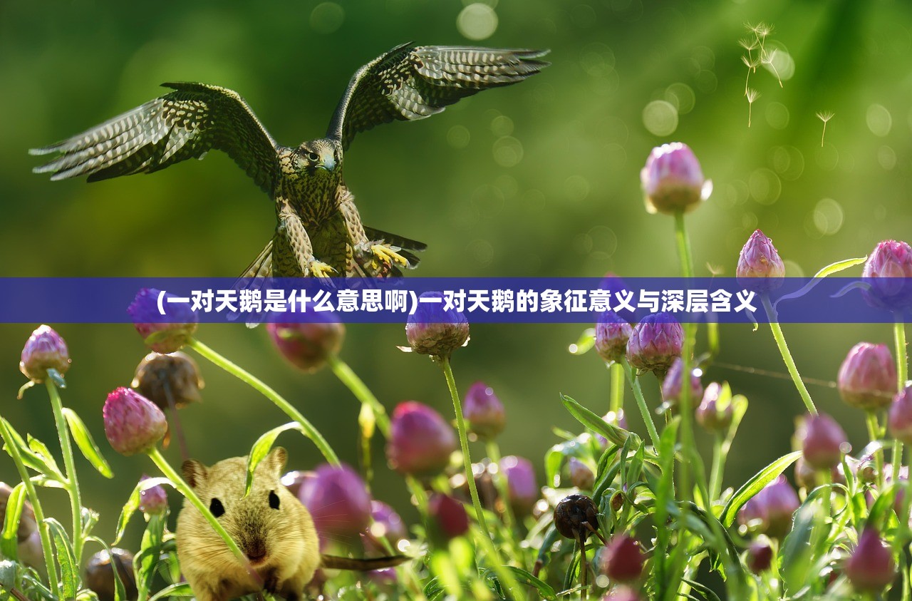 (一对天鹅是什么意思啊)一对天鹅的象征意义与深层含义