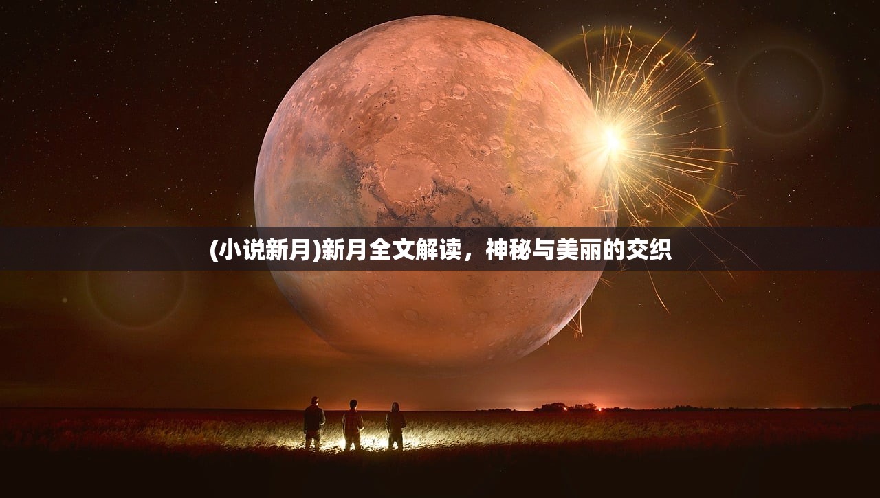(小说新月)新月全文解读，神秘与美丽的交织