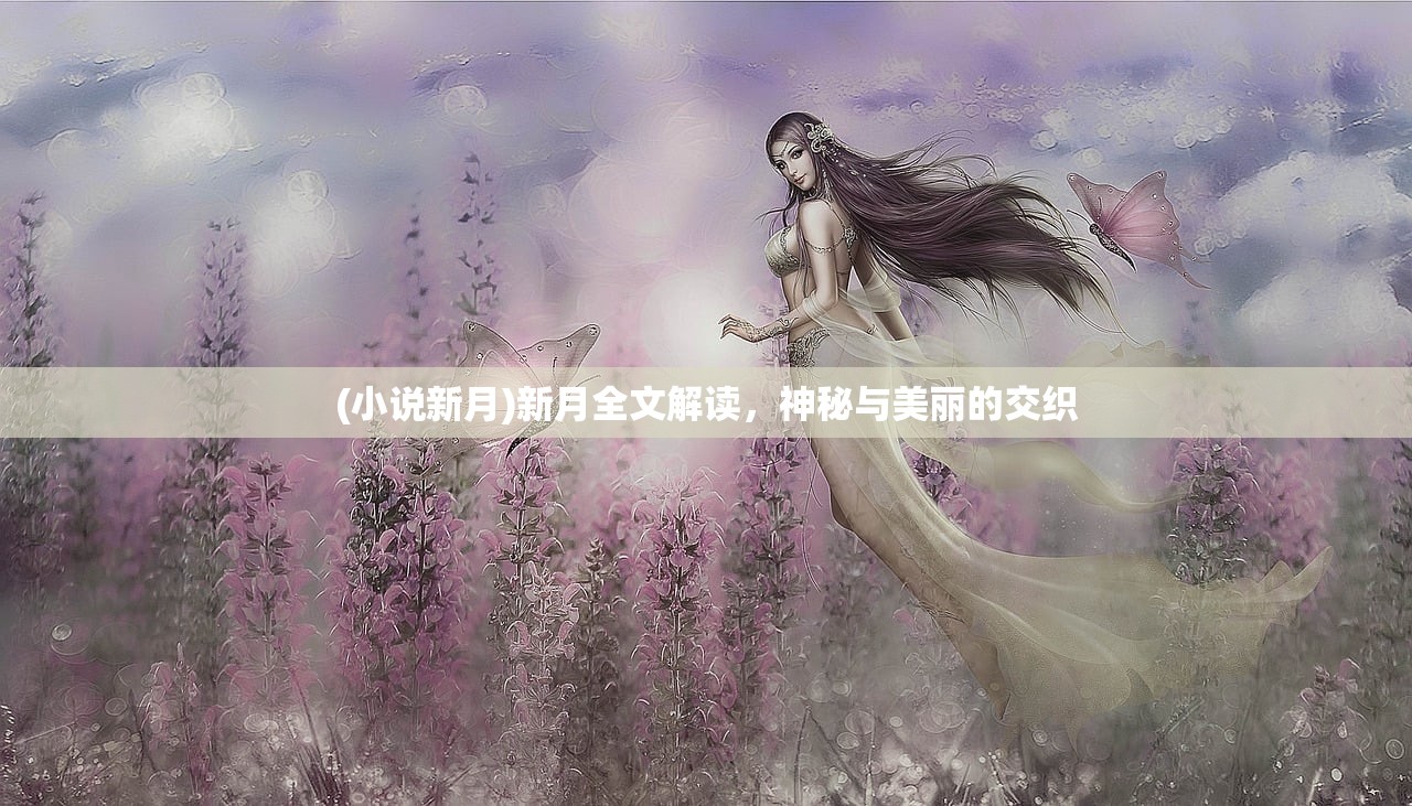 (小说新月)新月全文解读，神秘与美丽的交织