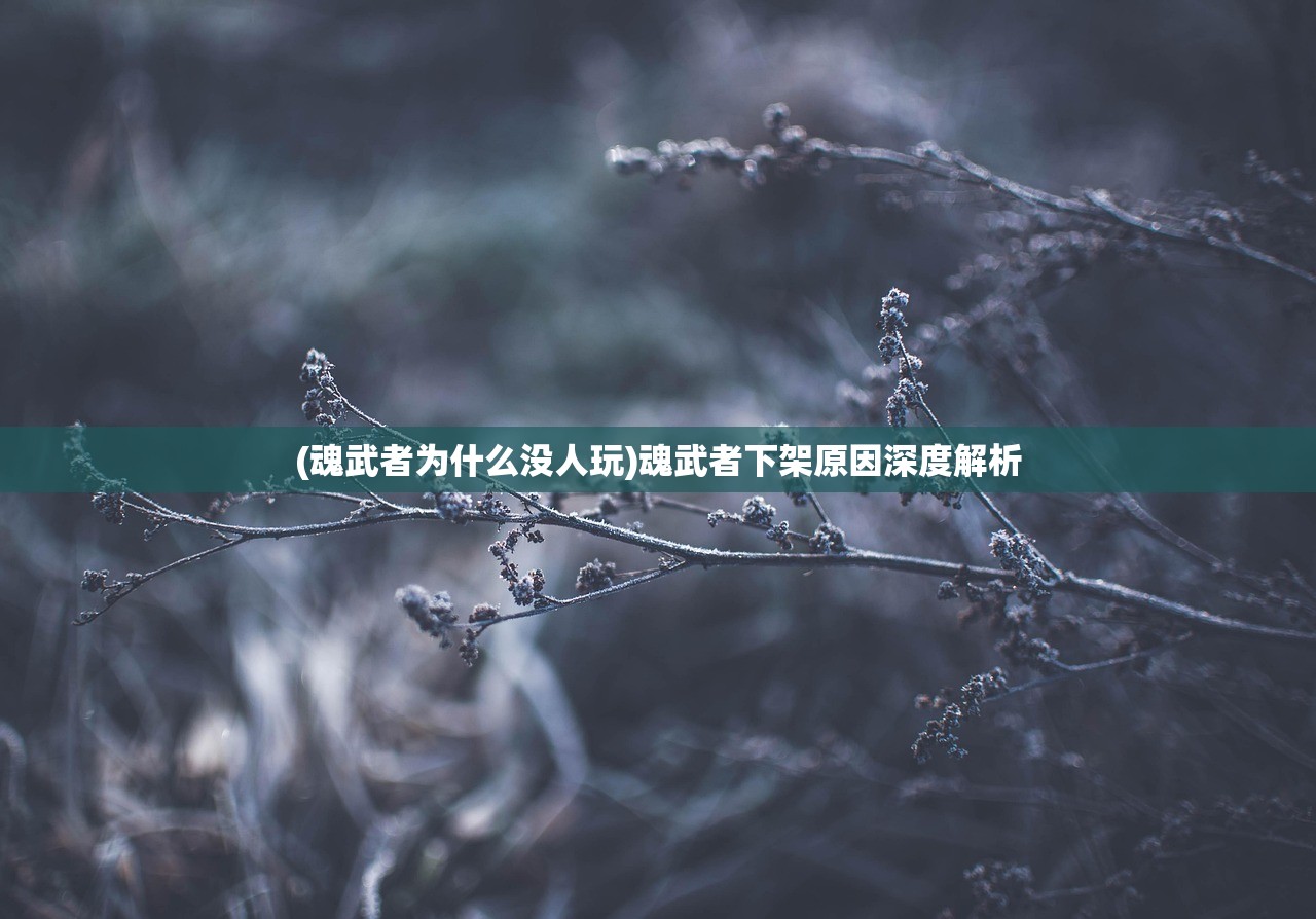 (魂武者为什么没人玩)魂武者下架原因深度解析
