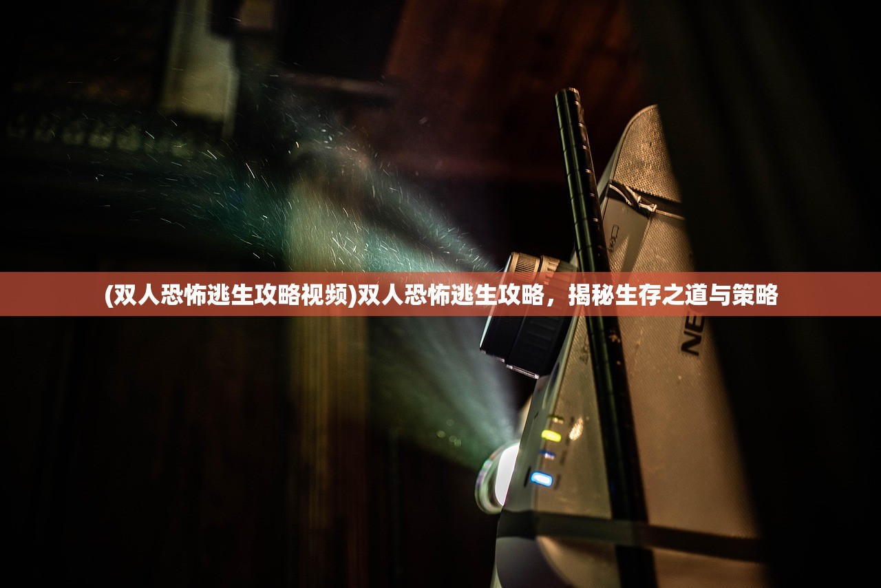 (双人恐怖逃生攻略视频)双人恐怖逃生攻略，揭秘生存之道与策略