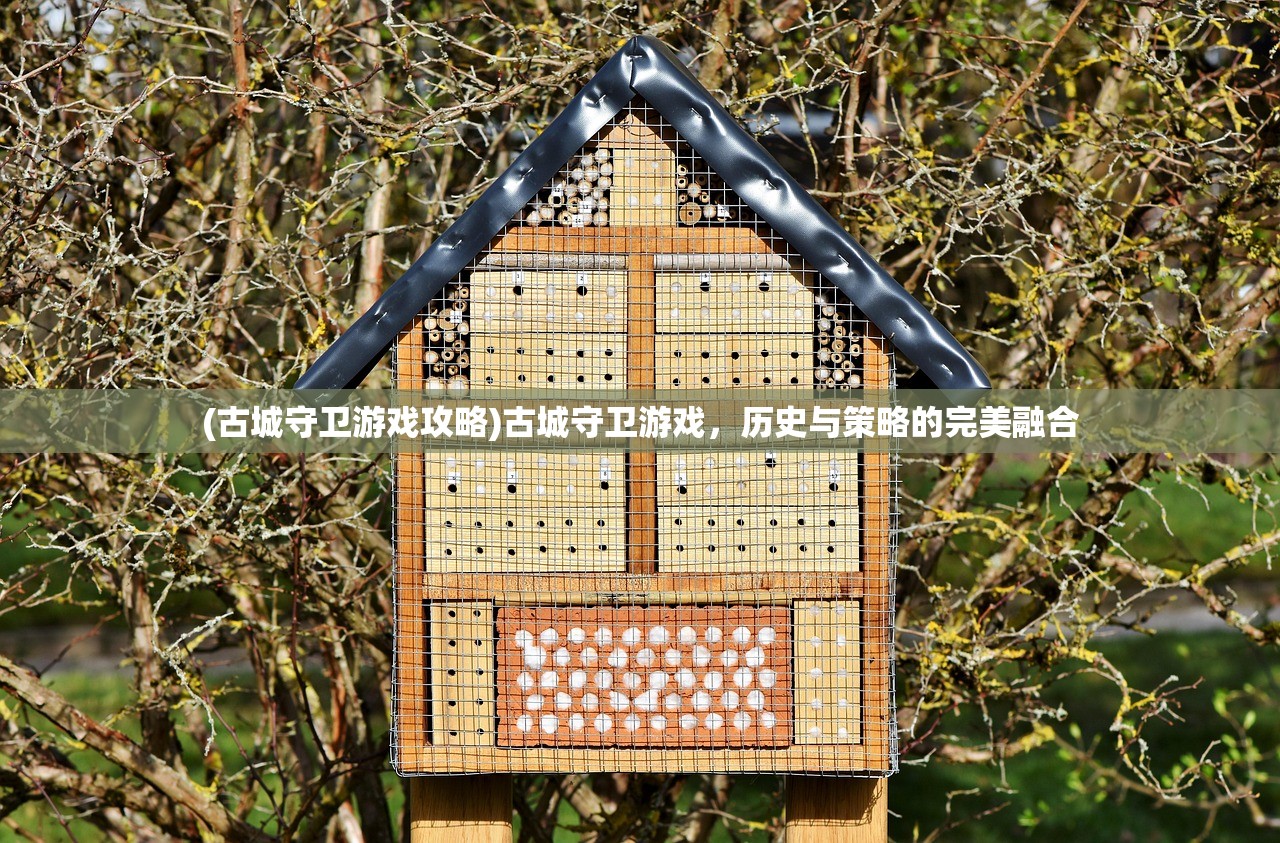 (古城守卫游戏攻略)古城守卫游戏，历史与策略的完美融合