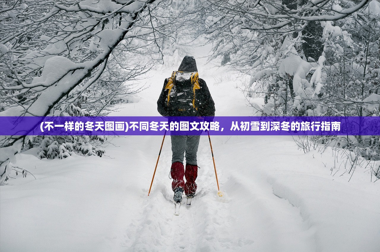 (不一样的冬天图画)不同冬天的图文攻略，从初雪到深冬的旅行指南