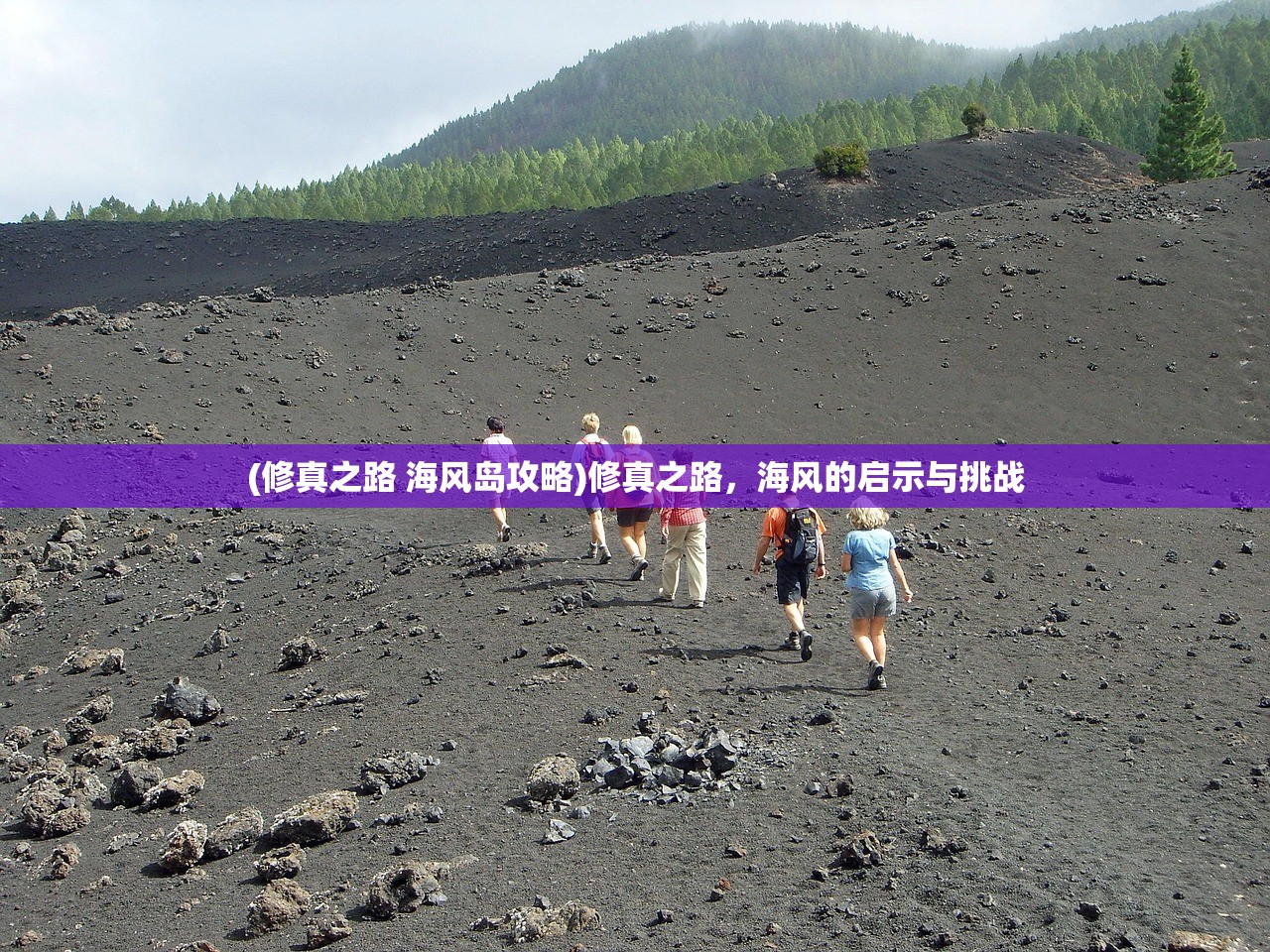 (修真之路 海风岛攻略)修真之路，海风的启示与挑战