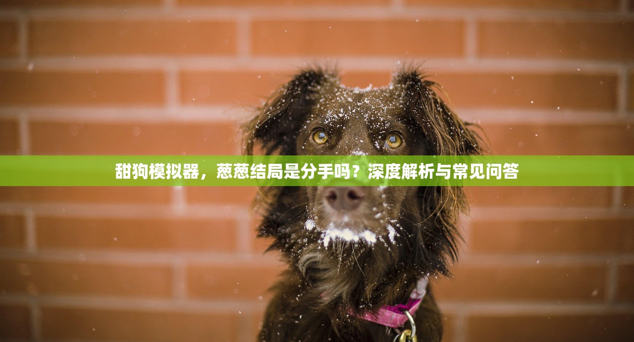 甜狗模拟器，葱葱结局是分手吗？深度解析与常见问答