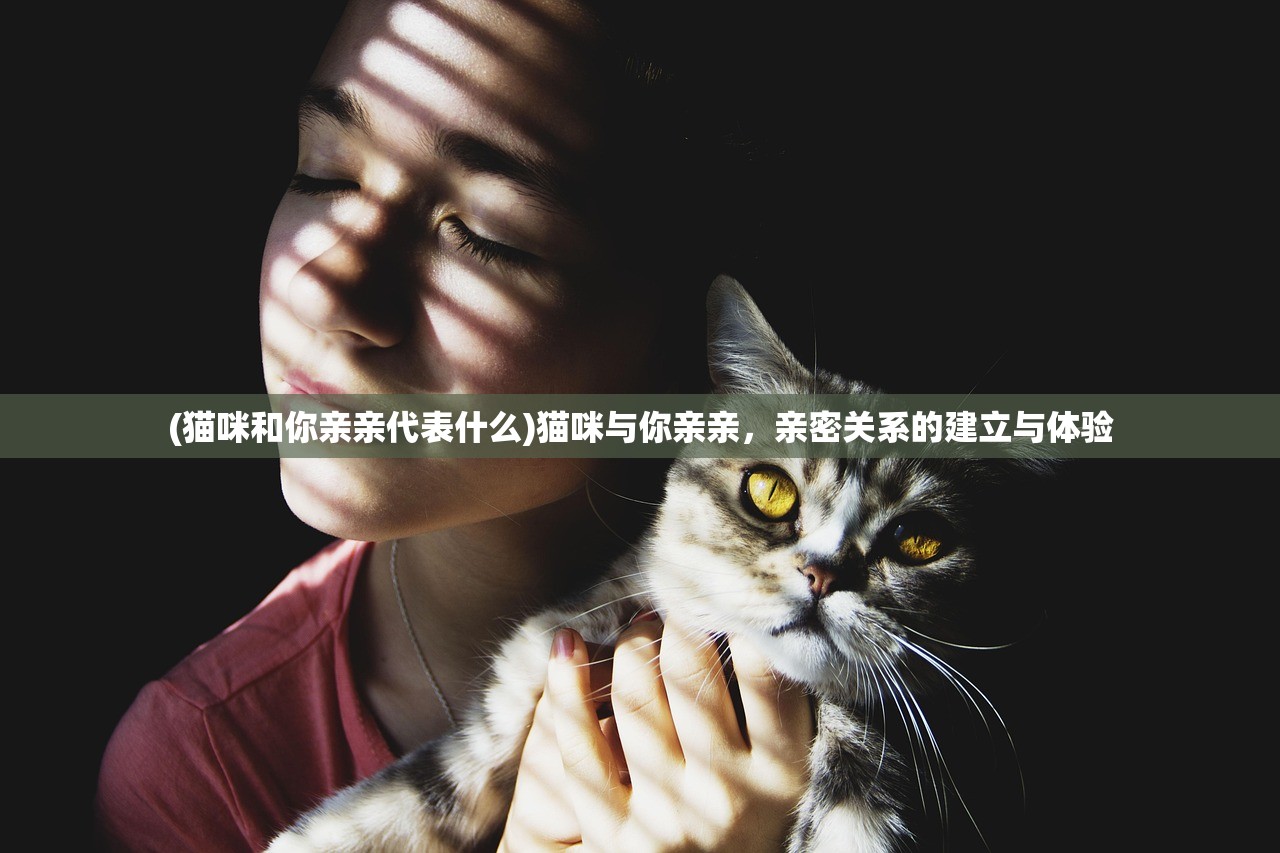 (猫咪和你亲亲代表什么)猫咪与你亲亲，亲密关系的建立与体验