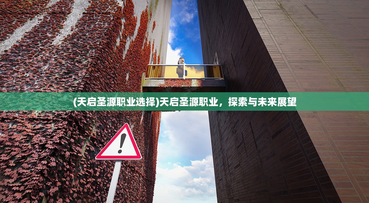 (天启圣源职业选择)天启圣源职业，探索与未来展望