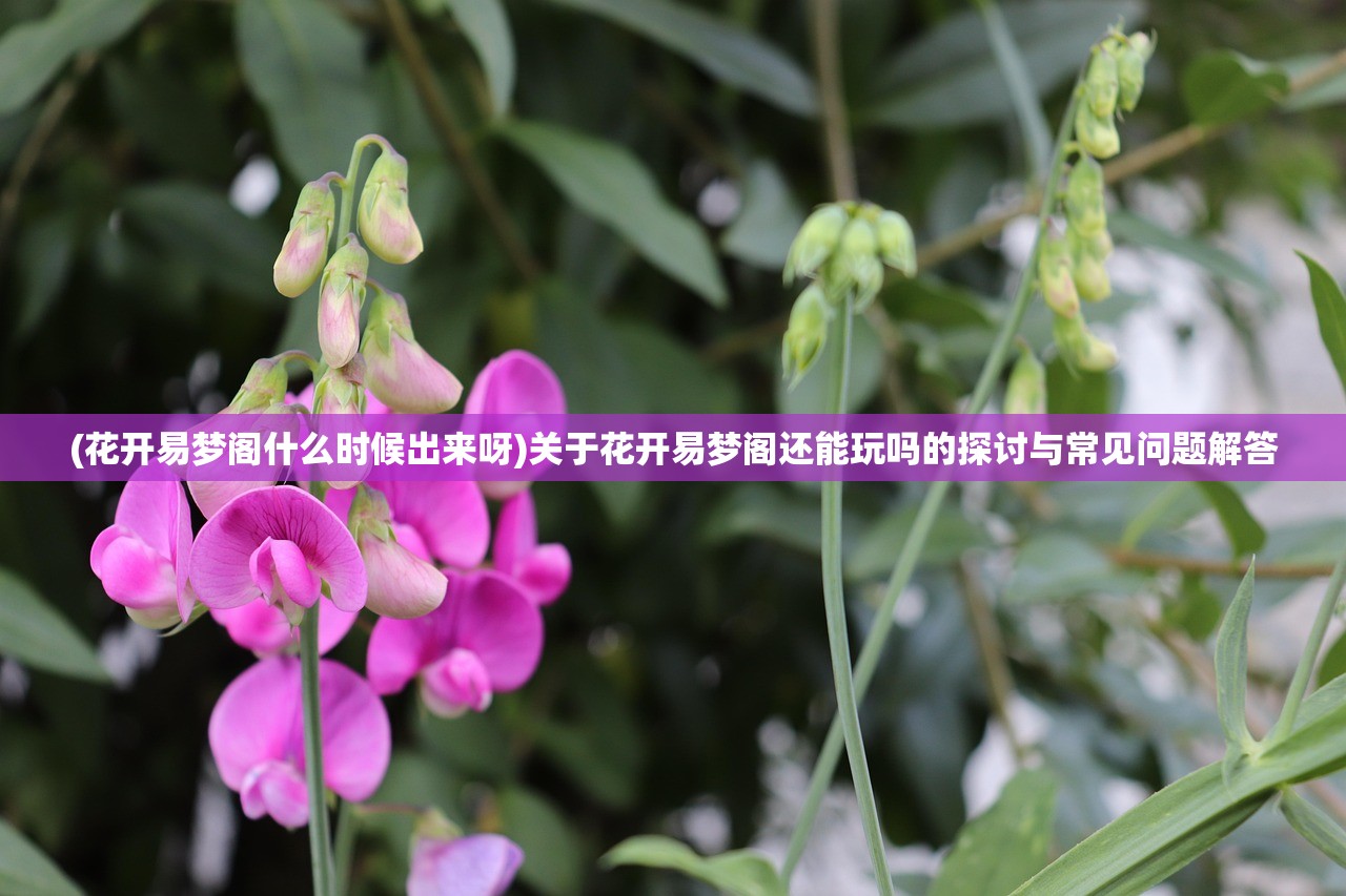 (花开易梦阁什么时候出来呀)关于花开易梦阁还能玩吗的探讨与常见问题解答