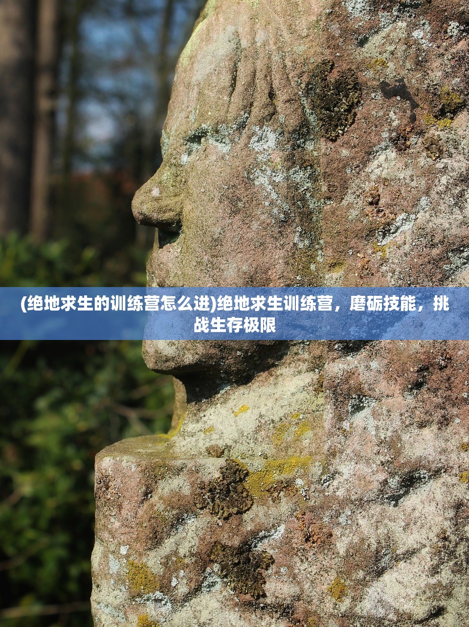 (绝地求生的训练营怎么进)绝地求生训练营，磨砺技能，挑战生存极限