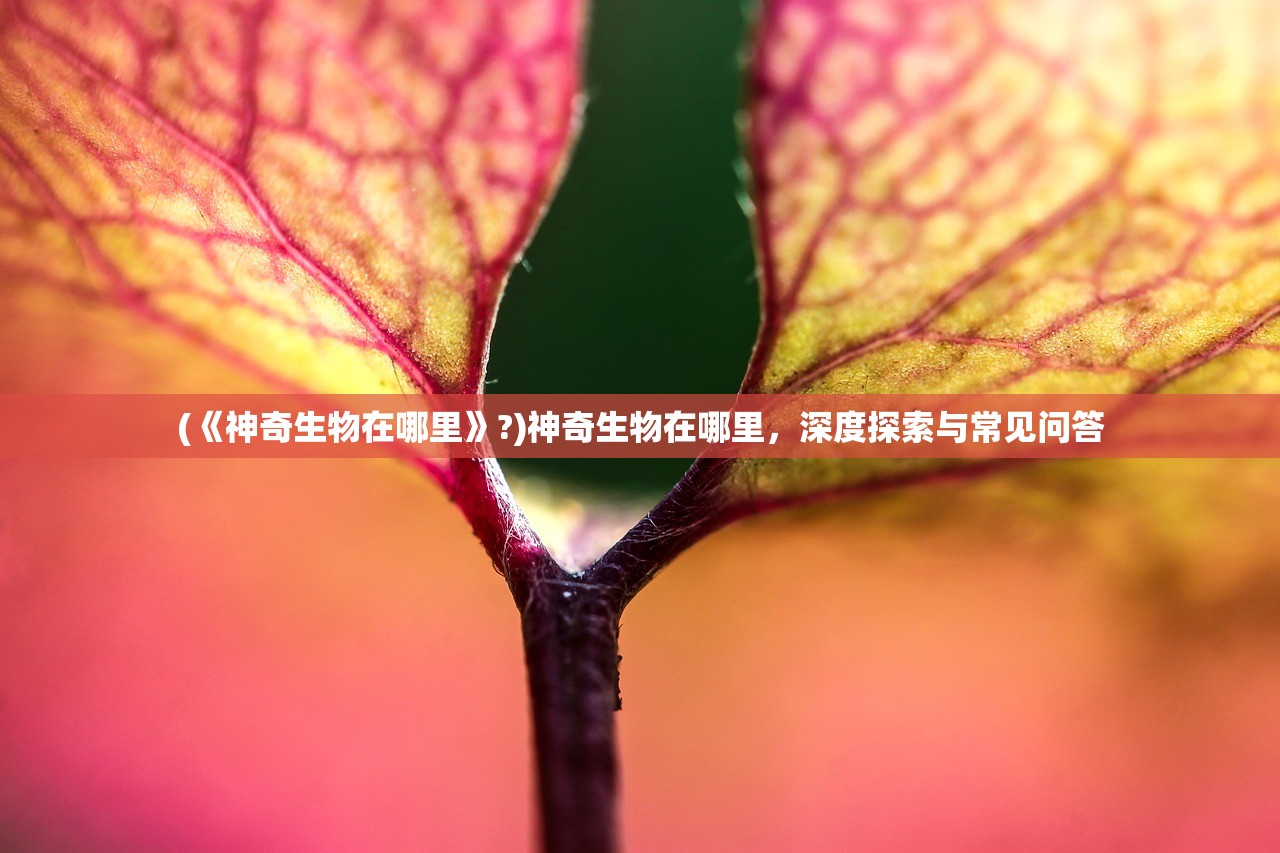 (《神奇生物在哪里》?)神奇生物在哪里，深度探索与常见问答